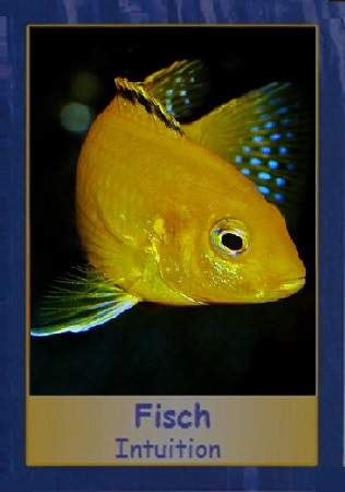 Fisch