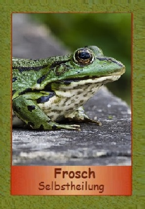 Frosch