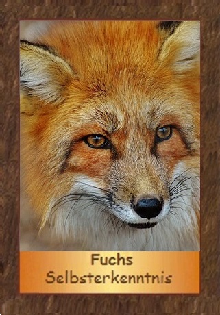 Fuchs