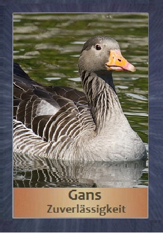 Gans