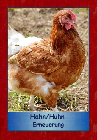 Huhn
