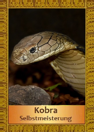 Kobra