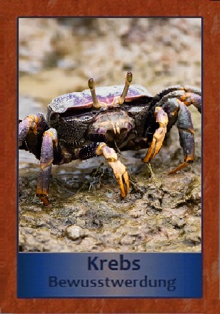 Krebs