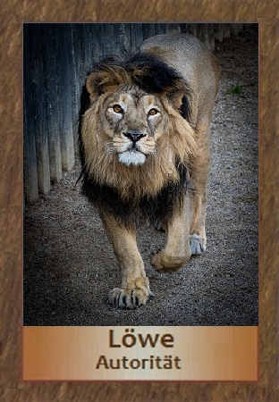 L&ouml;we