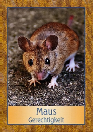Maus