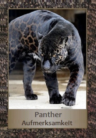 Panther