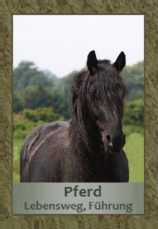 Pferd