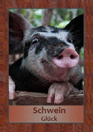 Schwein