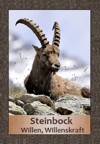 Steinbock