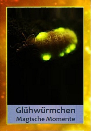 Gl&uuml;hw&uuml;rmchen