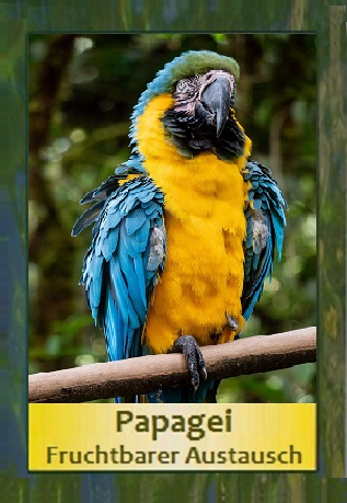 Papagei