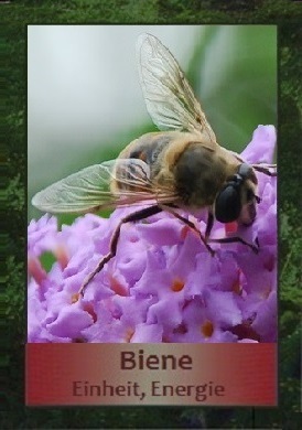 Biene
