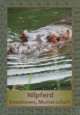 Nilpferd