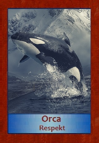 Orca
