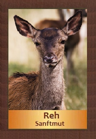 Reh