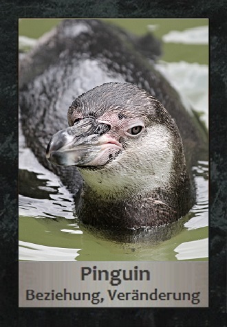 Pinguin