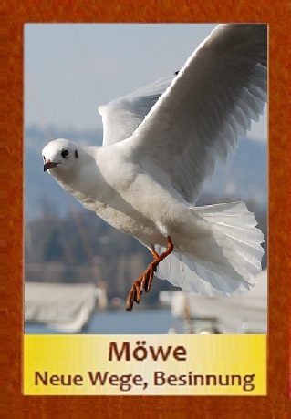 M&ouml;we