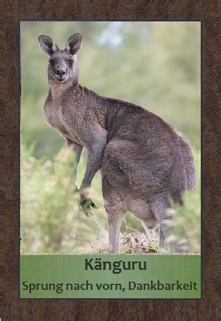 K&auml;nguru