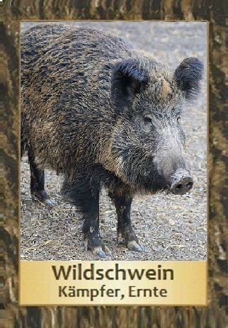 Wildschwein