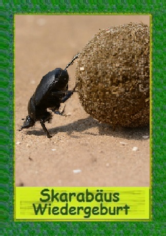 Skarabäus