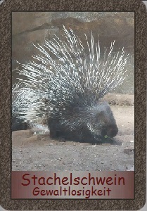 Stachelschwein